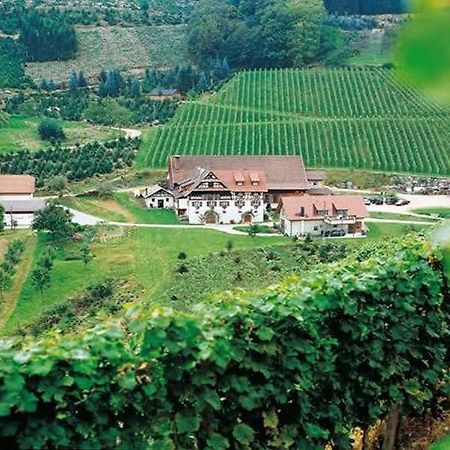 Weingut Alfred Huber Apartment Durbach Luaran gambar