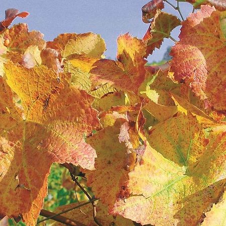 Weingut Alfred Huber Apartment Durbach Luaran gambar