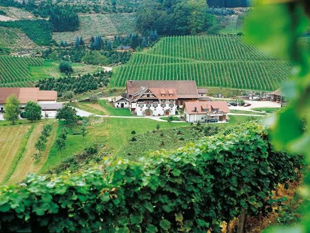 Weingut Alfred Huber Apartment Durbach Luaran gambar