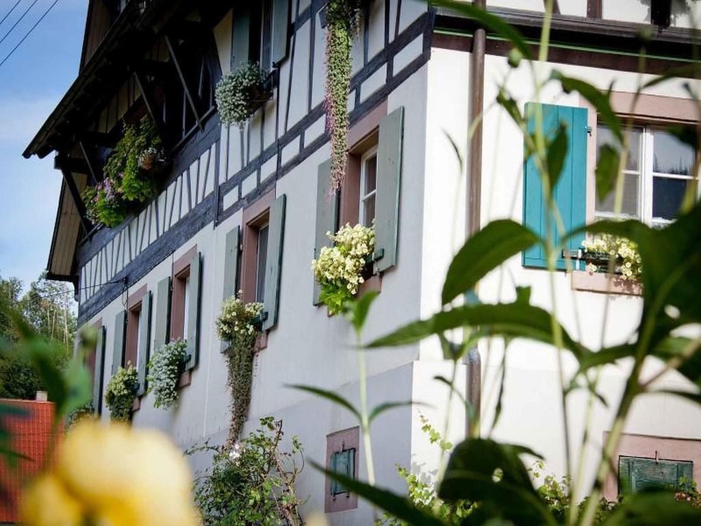 Weingut Alfred Huber Apartment Durbach Luaran gambar