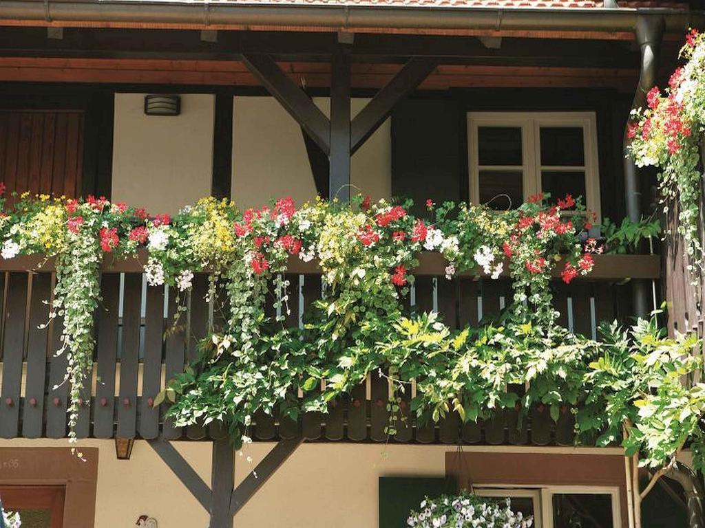 Weingut Alfred Huber Apartment Durbach Luaran gambar